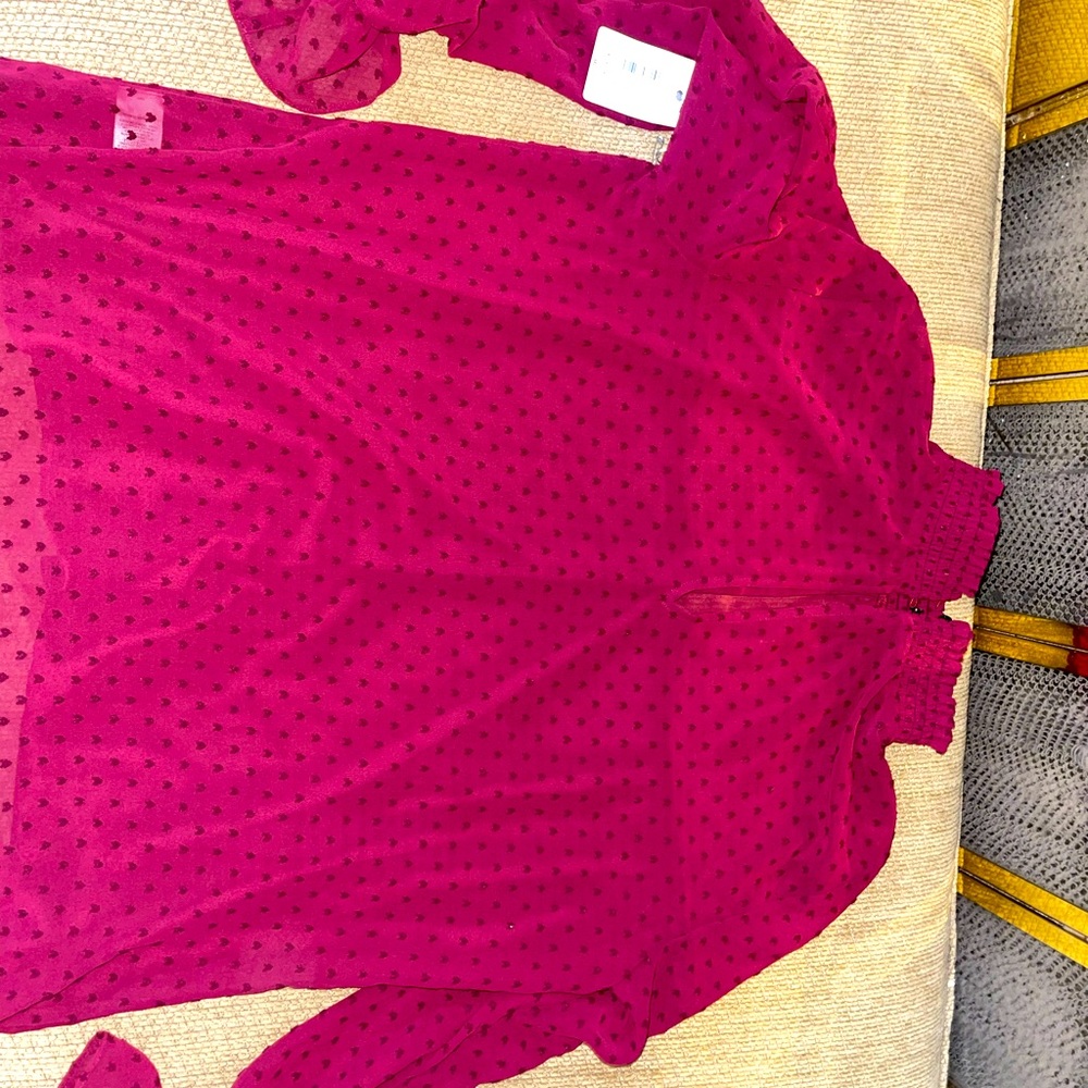 Long Sleeve Slightly sheer top